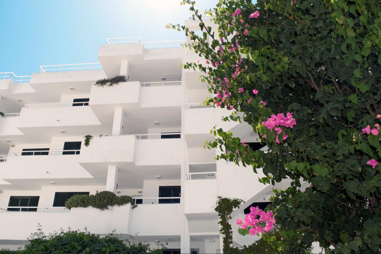 Camelina Suites San Antonio  Luaran gambar